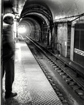 12742036_1240801645936564_1454619053266547254_n