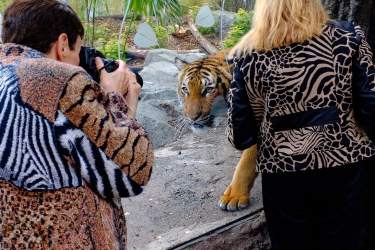 zoo1