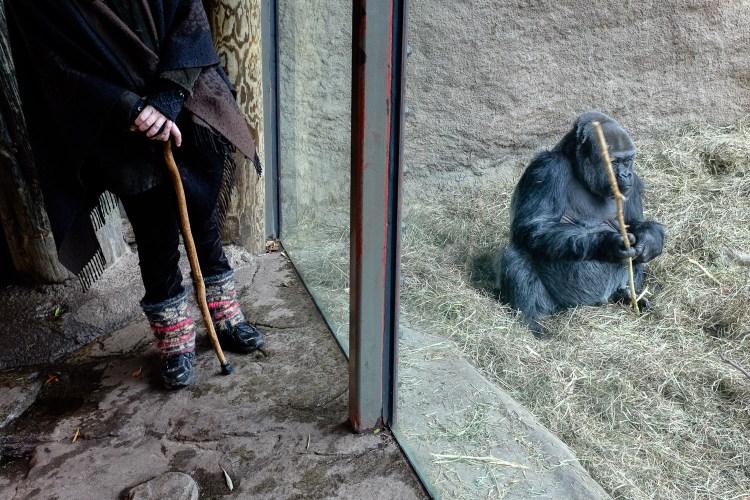 zoo2