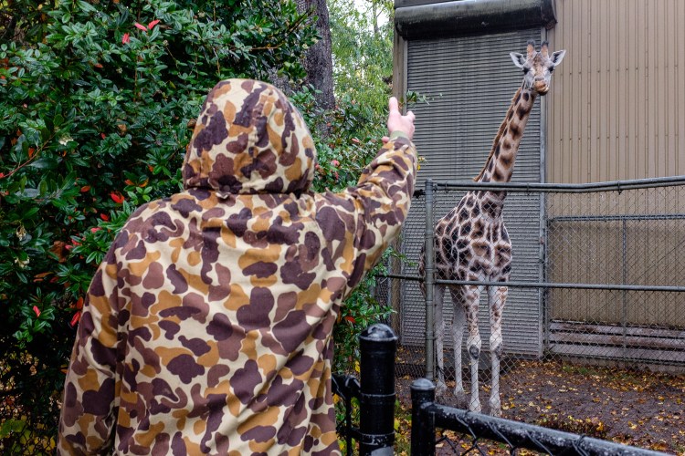 zoo3